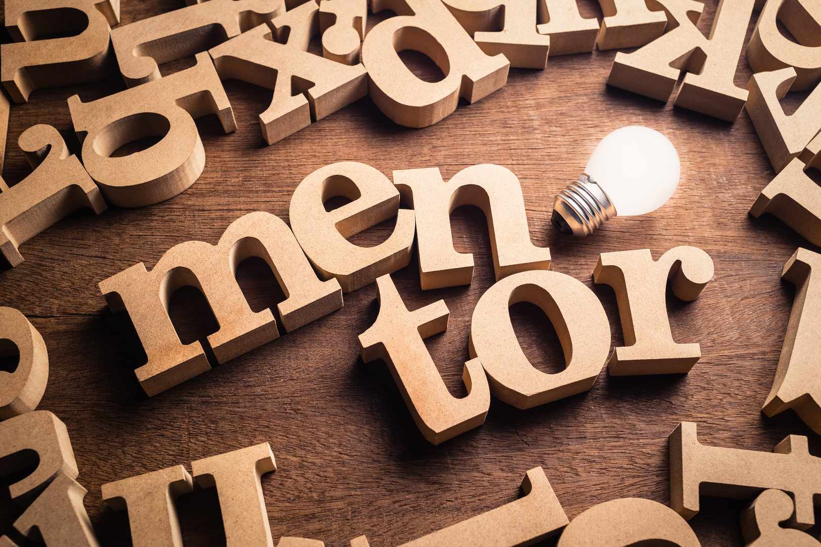 Mentor Idea Topic